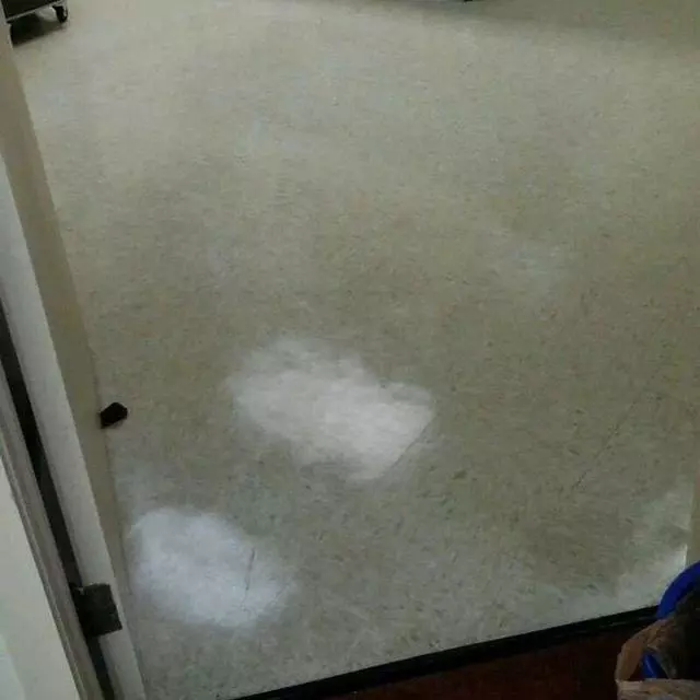 Andrews & Family Carpet Cleaning