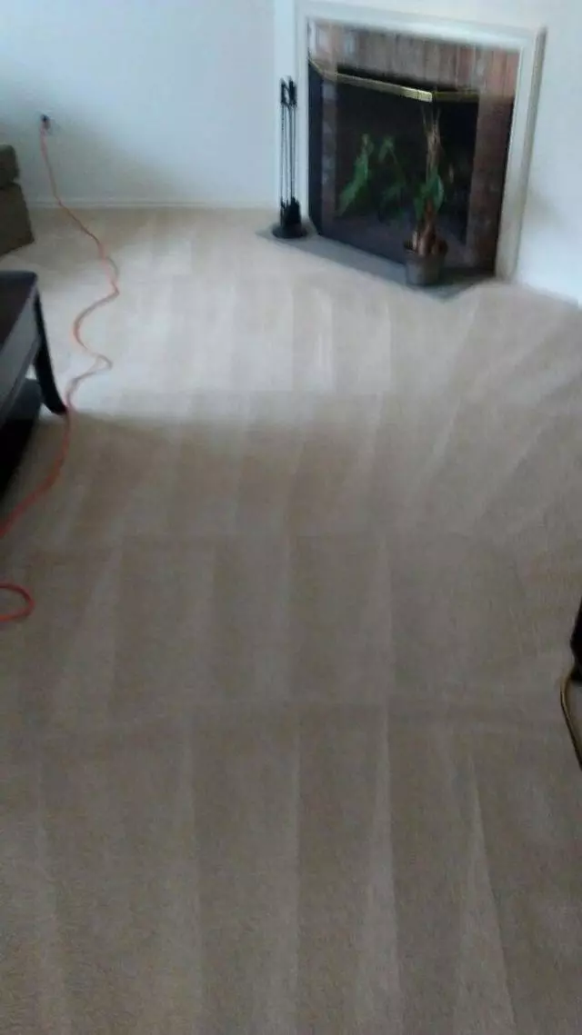 Andrews & Family Carpet Cleaning