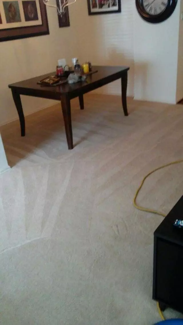 Andrews & Family Carpet Cleaning