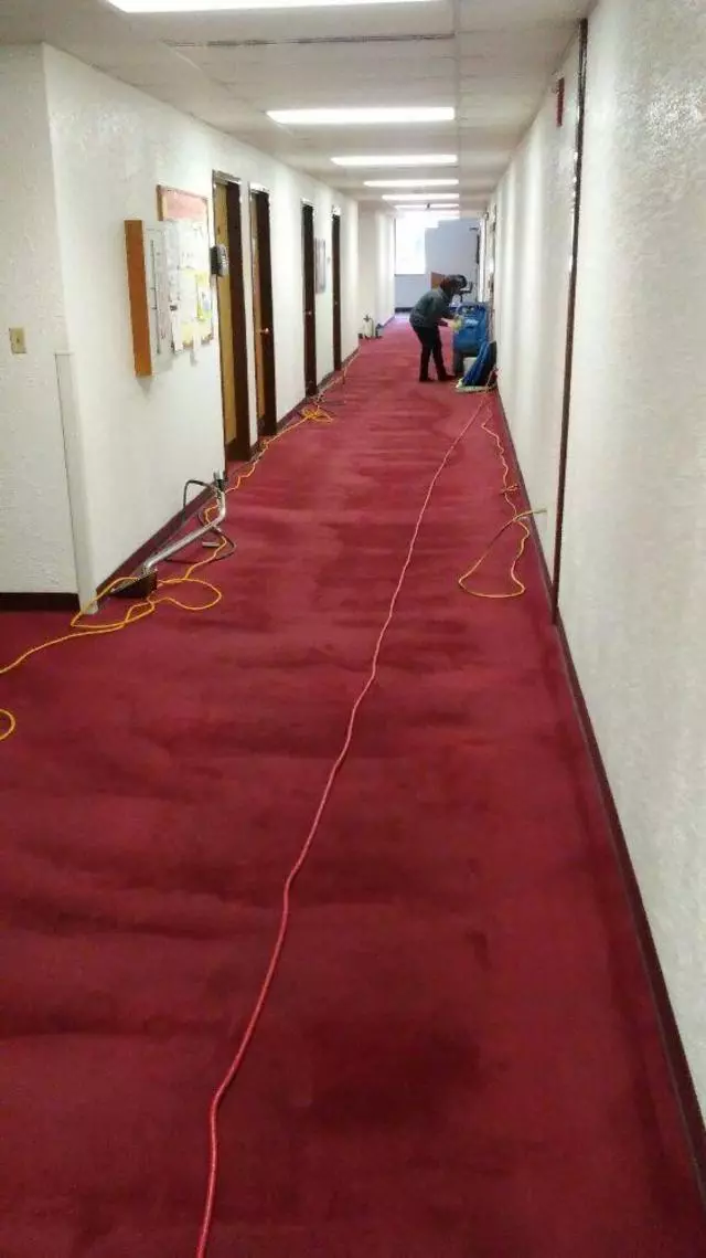 Andrews & Family Carpet Cleaning