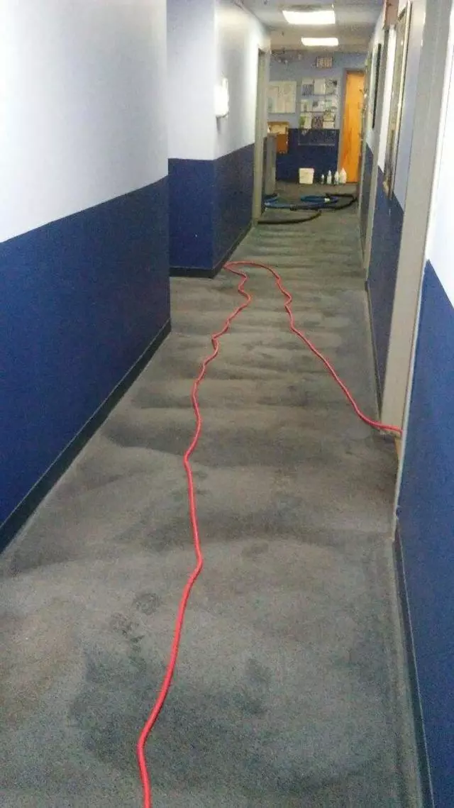 Andrews & Family Carpet Cleaning