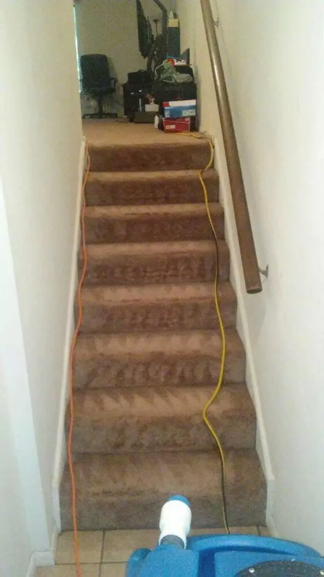 Andrews & Family Carpet Cleaning