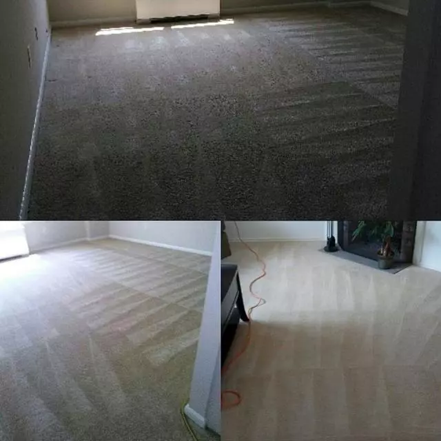 Andrews & Family Carpet Cleaning