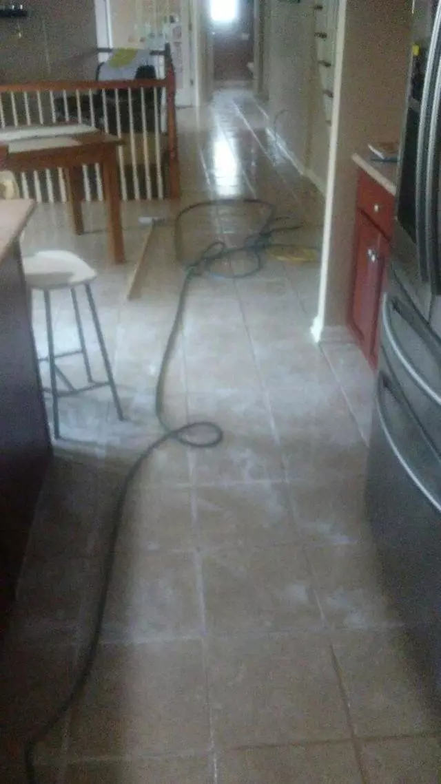 Andrews & Family Carpet Cleaning