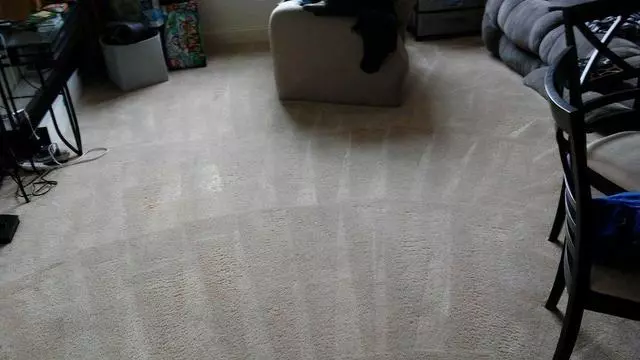 Andrews & Family Carpet Cleaning