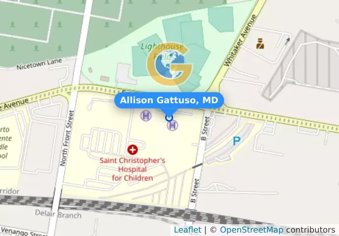 Allison Gattuso, MD