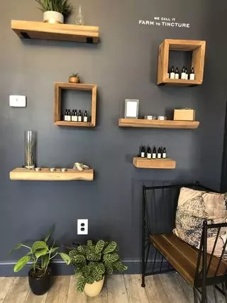 Anthology Wellness
