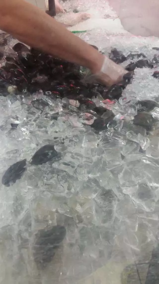 Alaska King Crab House