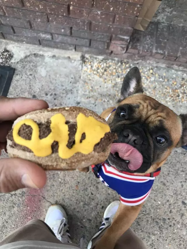 Amelie’s Bark Shop