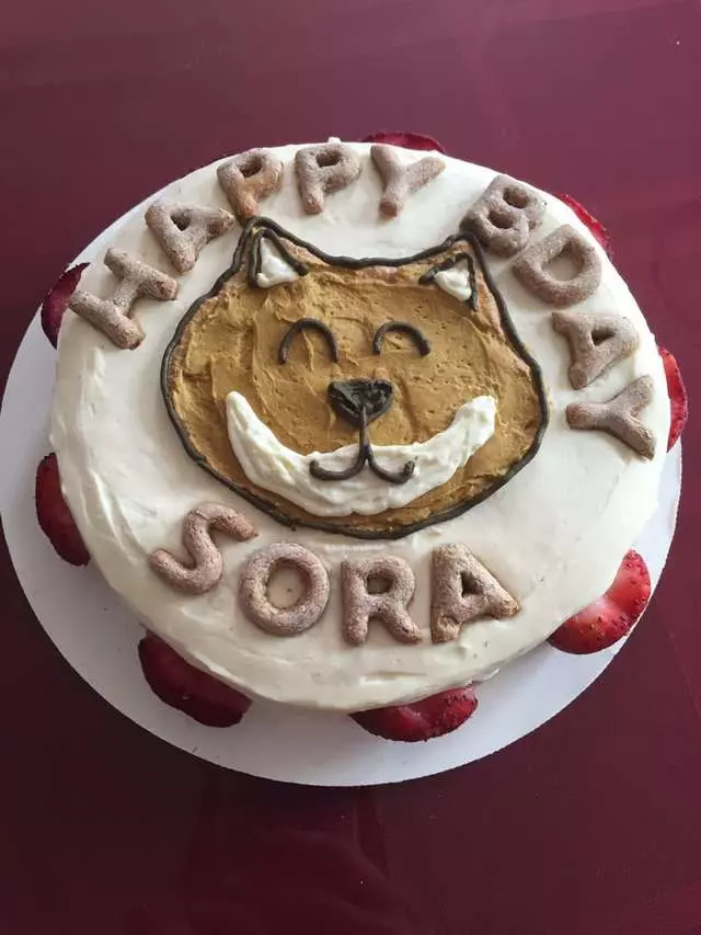 Amelie’s Bark Shop