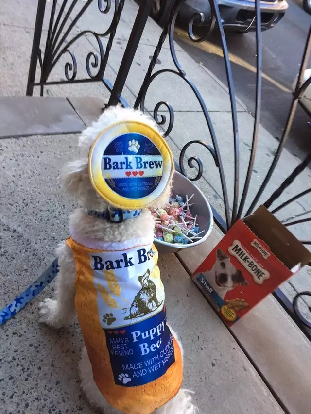 Amelie’s Bark Shop