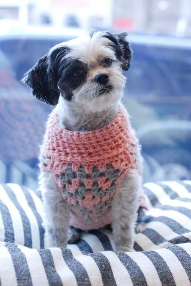 Amelie’s Bark Shop