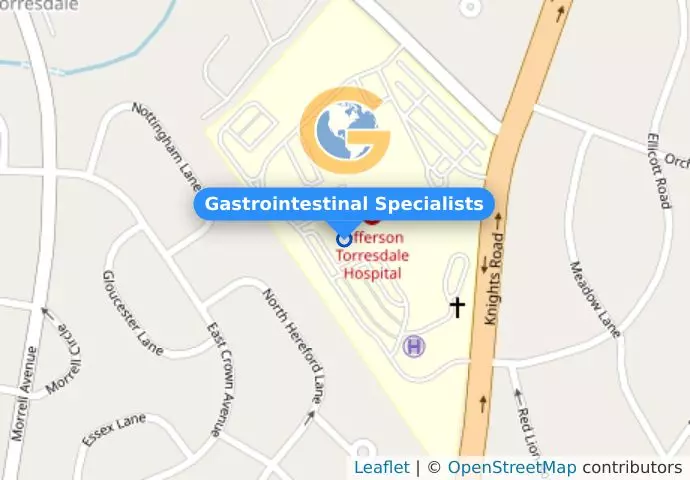 Gastrointestinal Specialists