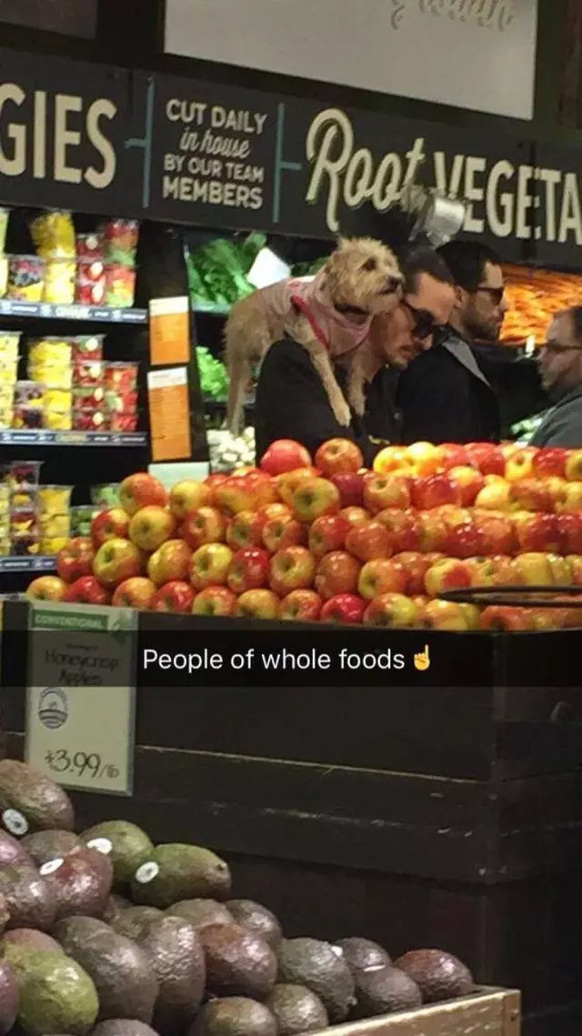 Whole Foods Market