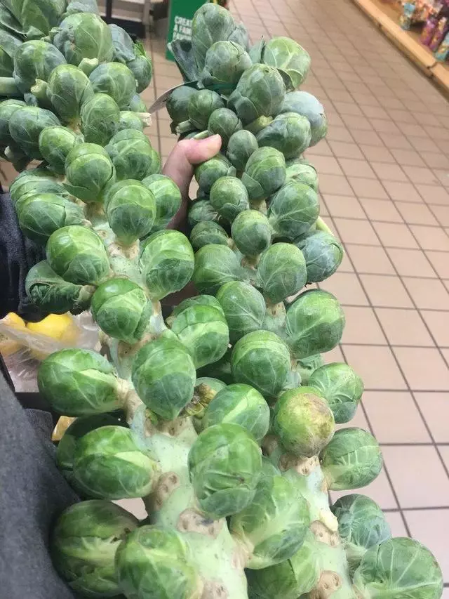 Whole Foods Market