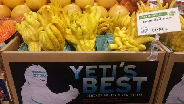 Whole Foods Market