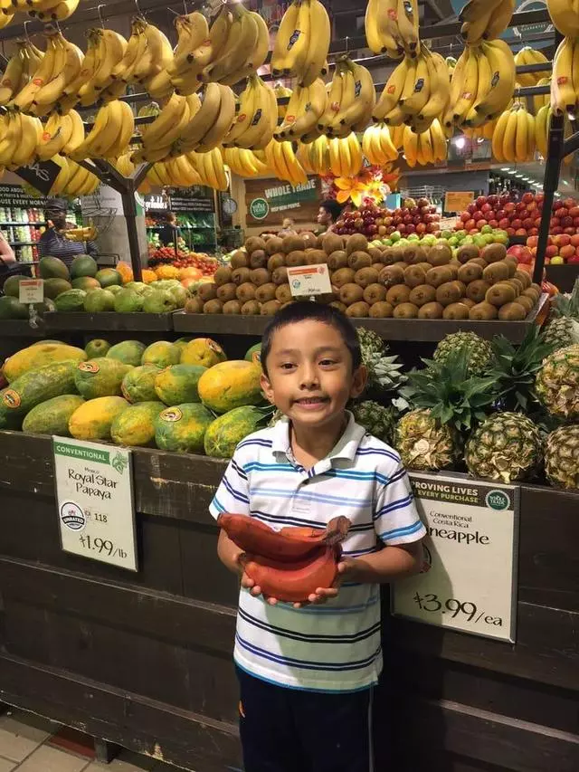 Whole Foods Market
