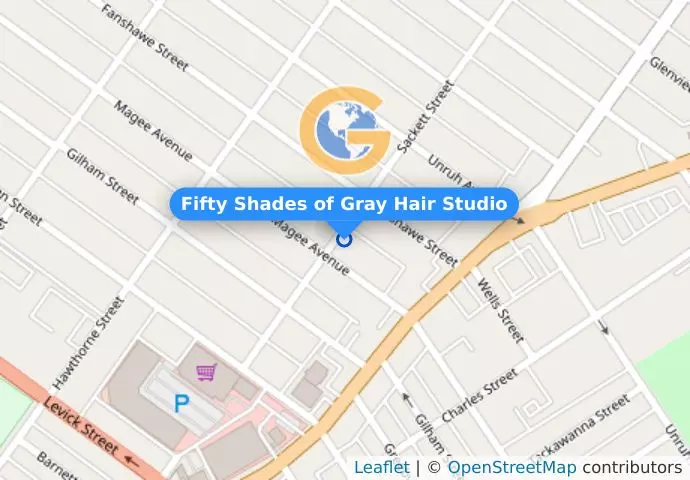 Fifty Shades of Gray Hair Studio
