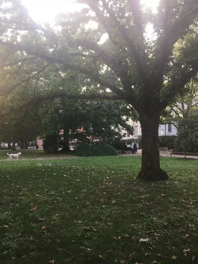 18th Century Garden