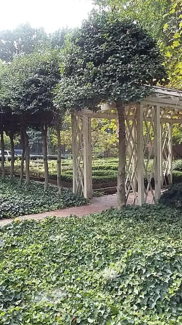 18th Century Garden