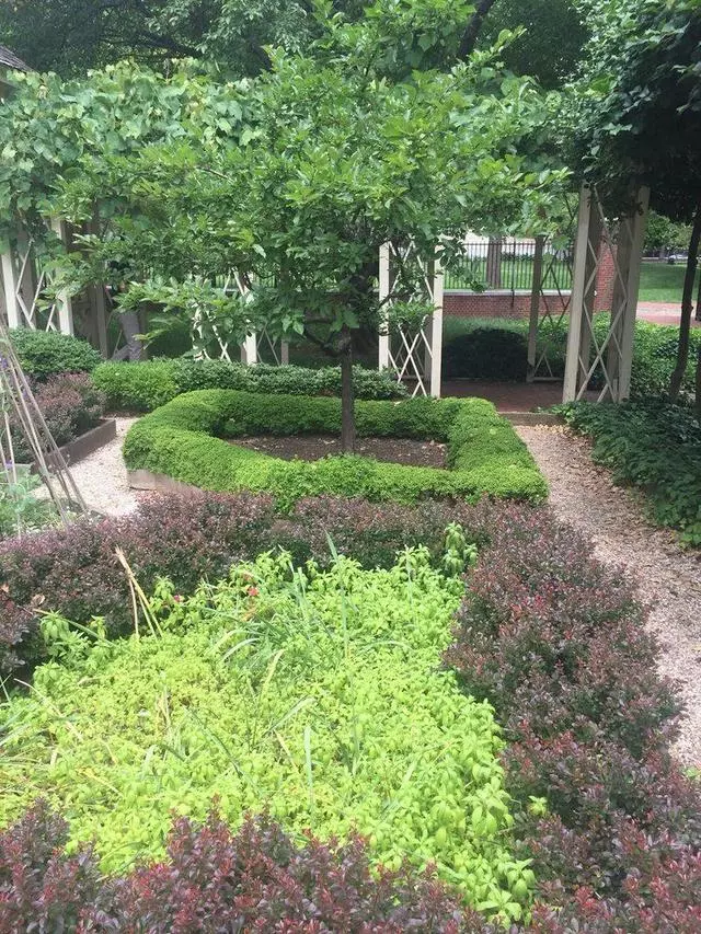 18th Century Garden