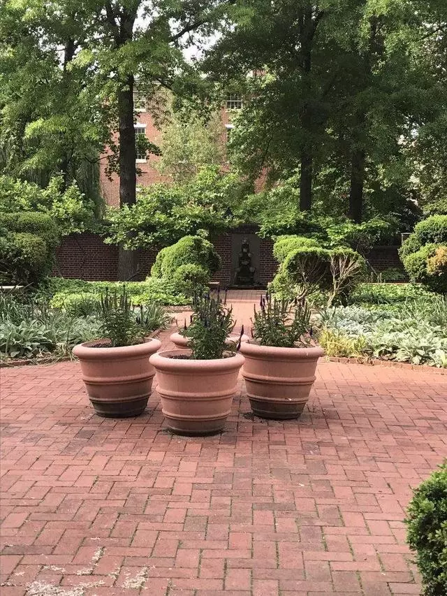 18th Century Garden