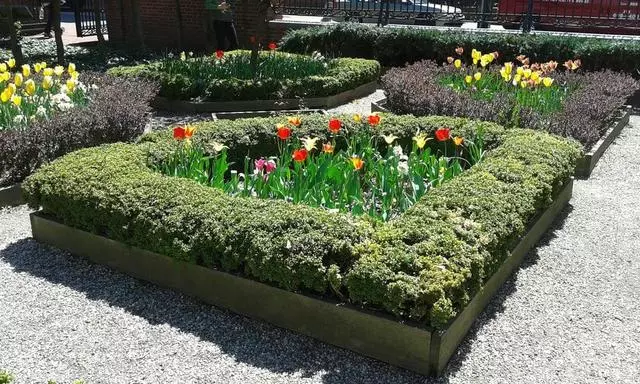 18th Century Garden