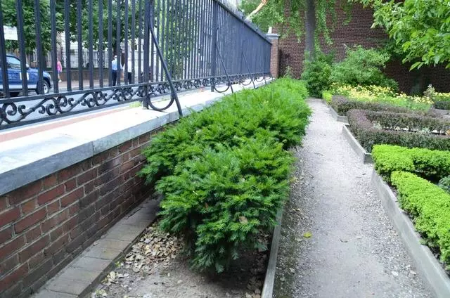 18th Century Garden