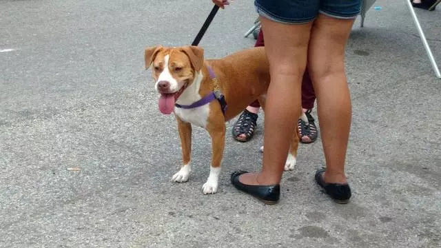 2nd St Festival