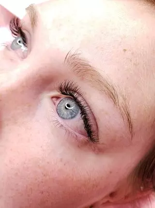 FN Lashes