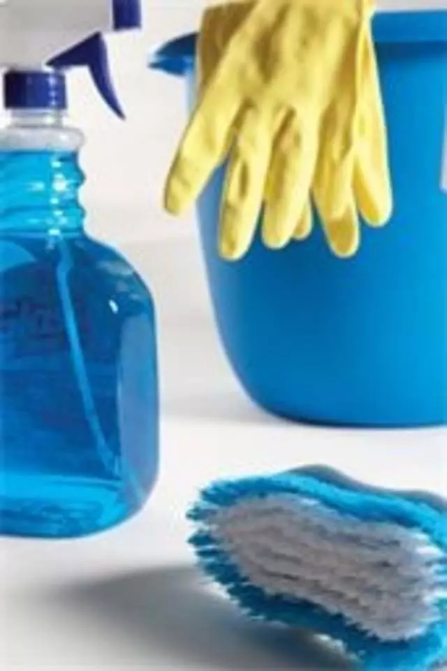 A1 House Cleaner