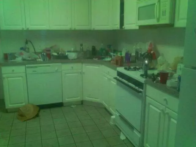 A1 House Cleaner