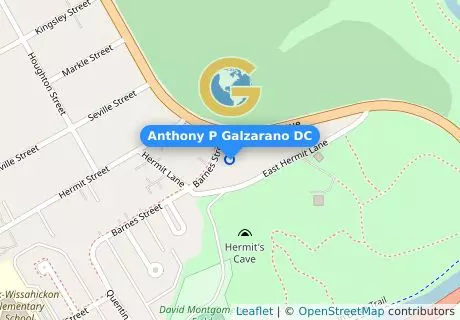 Anthony P Galzarano DC
