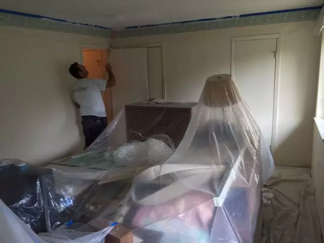 A Touch Of Color, Painting Co.