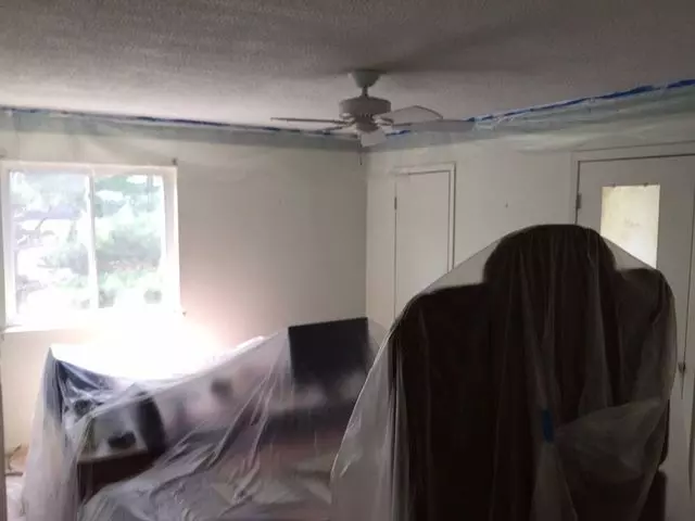 A Touch Of Color, Painting Co.