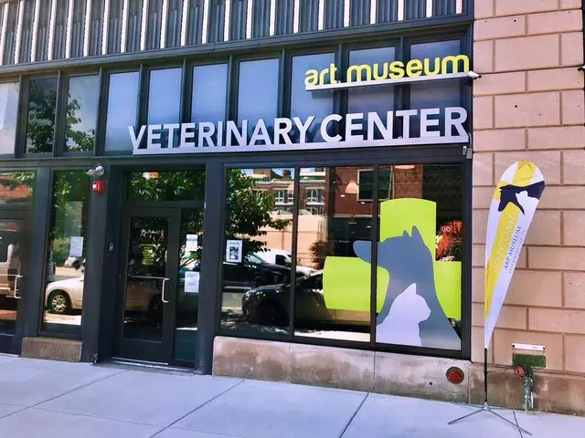 Art Museum Veterinary Center