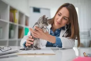 Art Museum Veterinary Center