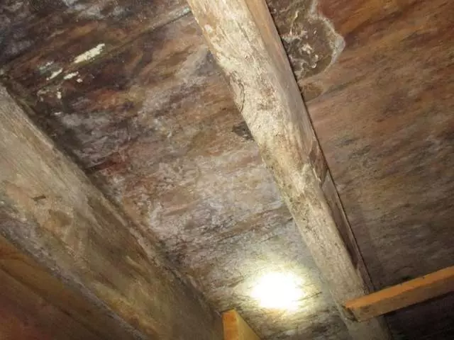 Accredited Home Inspection