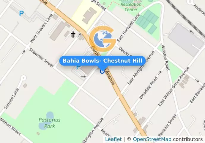 Bahia Bowls- Chestnut Hill