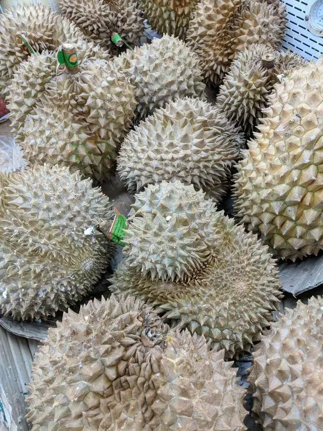 1st Oriental Supermarket