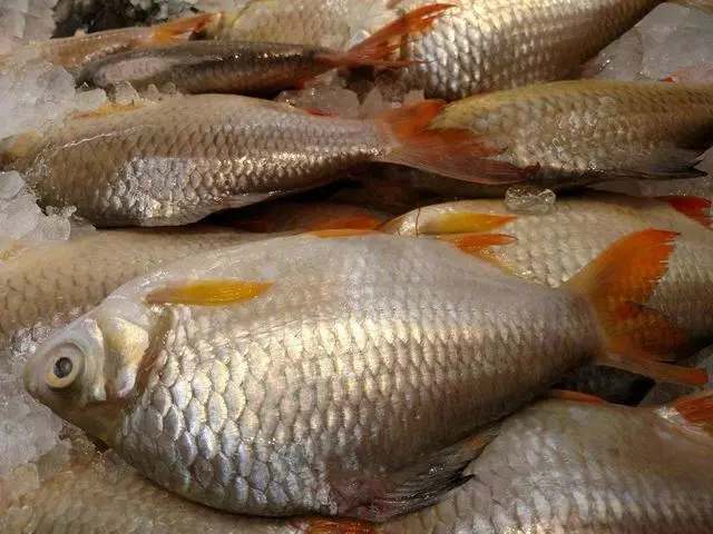 1st Oriental Supermarket