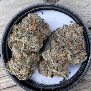 Canna Nation