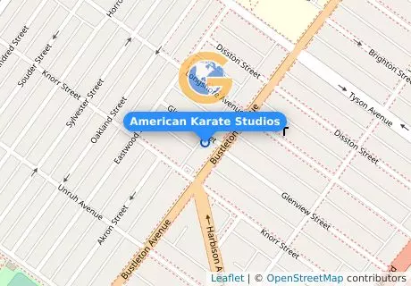 American Karate Studios