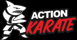 Action Karate Manayunk