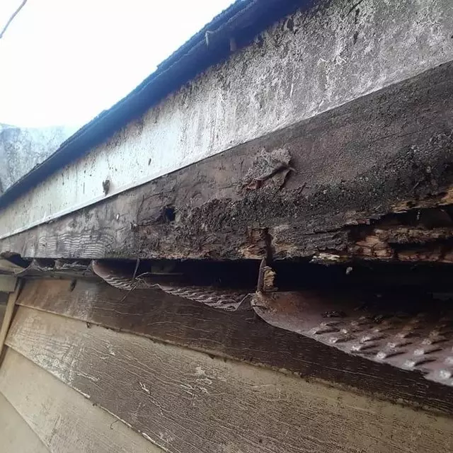 Adams Gutter Cleaning