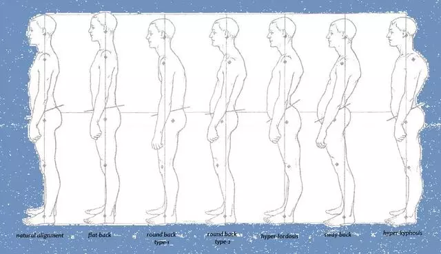 Art of Gravity Bodywork @ The Structural Wellness Center