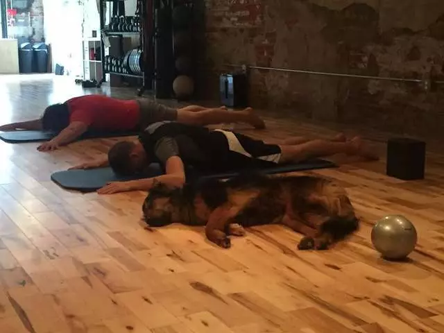 ZAKTi