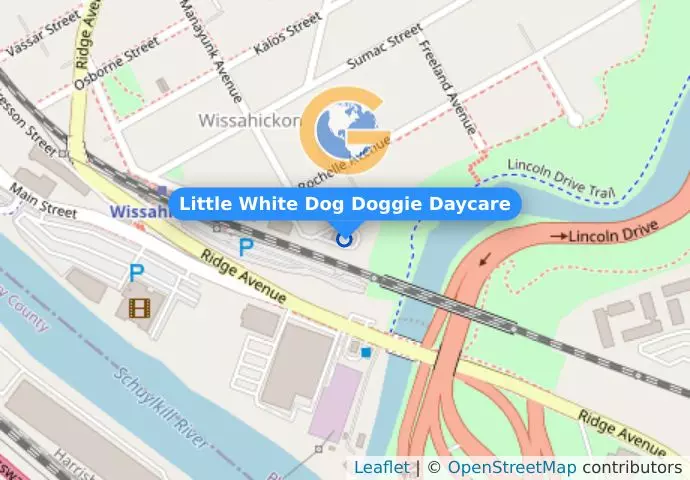 Little White Dog Doggie Daycare