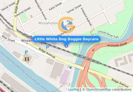 Little White Dog Doggie Daycare