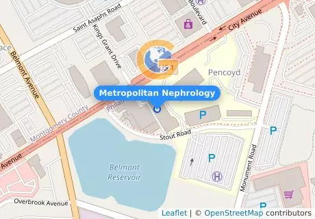 Metropolitan Nephrology